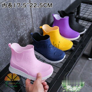 LbY Cu[c q CV[Y h h j̎q ̎q TChS [obNt ʉ ʊw J̓ ~J ~