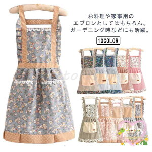 Gv  킢 t Gv  IV ԕ fB[X   Lb` K[fjO JtF ۈm s[X