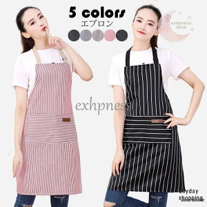 Gv jp  [N |Gv Vv |Pbgt \ h d Ǝ Lb`p   JtF 킢  5F