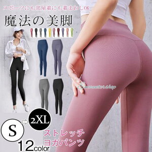 ���K�p���c ���K�E�F�A ���K���M���X ���M���X ���f�B�[�X �t�B�b�g�l�X �g���[�j���O �X�p�b�c ���r ������ �z�b�g���K �V���v�� ���� ���킢��