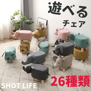 Xc[ ݑ CeAG ~j`FA | Aj} CX Ck ]E EV k  킢 Ibg} ~je[u r