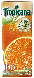 LygsJ[it[c×t[c100IWW[Xz250ml×24聚퉷ۑ\