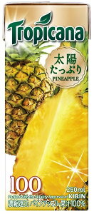 4500~iŔjȏエőILygsJ[i100zt[c×t[c@pCAbv250ml×24聚퉷ۑ\05P26Mar16yRCPz