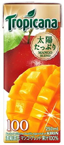 LygsJ[i100zt[c×t[c@}S[uh250ml×24聚퉷ۑ\