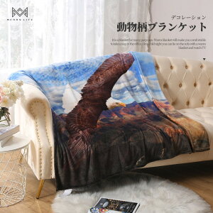 y݌ɌzuPbg ѕz 152×127cm | tl ӂ ʔN   p_ qE [u \t@ Ђ| Ђ G| Ђ|ѕz Aj}uPbg \t@[ 