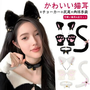   4_Zbg zCg J`[V `[J[ G  L  L ɂ t nEB   4_Zbg RX`[ NX}X   Gɂ Zbg 