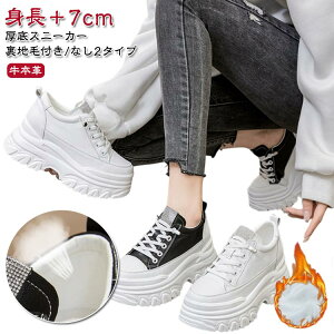 ʋ g{7cm Xj[J[ Xj[J[ fB[X {v ؍ h nѕt/Ȃ2^Cv gAbv  7cm nѕt/Ȃ2^Cv ʊw lC V[Y _bhXj[J[ C