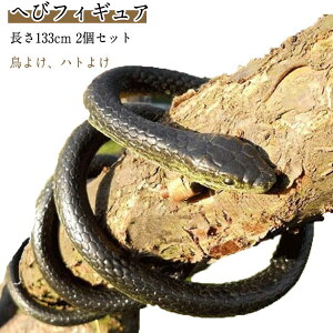 2Zbgz   ˂ ObY 悯ObY  悯 悯  y133cm h ւ b΍ hb  ΍ XY y133cm   ObY ng co wr 