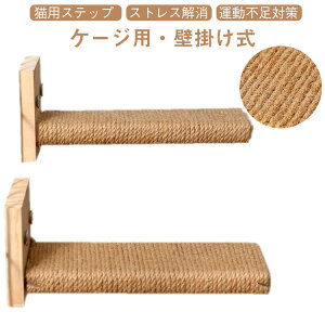 �ؐ� �P�[�W �L�p�X�e�b�v �P�[�W�X�e�b�v �L���b�g�|�[�� ��t�� �O�t�� �K�i �܂Ƃ� �L �L�p�X�e�b�v �L �⏕�X�e�b�v �� �L�X�e�b�v �܌��� ����Ȃ� �y2�_�Z�b�g�z�X�e�b�v �L�p ���t