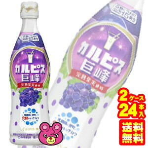 y2P[Xz ATq JsX n vX`bN{g 470ml×12{×2P[XFv24{ 5{߃^Cv ykCEEzsz