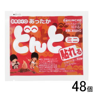 ypizy48z {e  \ǂ ~j V 10×48 ĝ JC \ ykCEEzsz mHKn