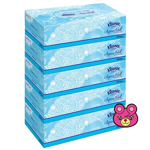 ypiz {NVA NlbNX eBV[ ANAF[ 360i180gj×5pbN×10 eBbV ykCEEzszmHKn