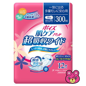 ypiz {NVA |CY PApbh zCh Cɏo鑽ʃɈSp 12×9 ykCEEzszmHKn