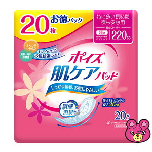 ypiz {NVA |CY PApbh ɑԁESp(SX[p[) pbN 20×9 ykCEEzszmHKn