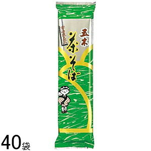 y2P[Xz ܖؐHi  180g×20ܓ×2P[XFv40 ykCEEzsz