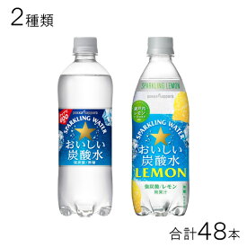 【2種類セット】ポッカサッポロ おいしい炭酸水 PET 600ml ・ おいしい炭酸水レモン PET 500ml 各24本入×2種類：合計48本 国産天然水 炭酸水 【北海道・沖縄・離島配送不可】