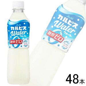 y2P[Xz ATq JsXEH[^[ ރ[ PET 500ml×24{×2P[XFv48{ ykCEEzsz