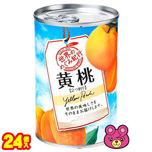 KK Ê߂݋Is  Y 4×24 EIs ykCEEzsz