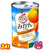 【24個】 K＆K国分 世界のめぐみ紀行 みかん 中国産 4号缶×24個 世界紀行 【北海道・沖縄・離島配送不可】
