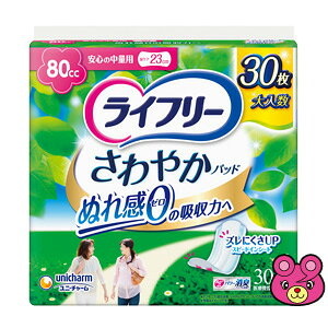 yz j`[ Ct[ ₩pbh S̒ʗp 30×12pbN ykCEEzszmHKn