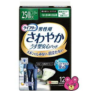 yz j`[ Ct[ ₩pbh jp 250cc 12×24pbN ykCEEzszmHKn