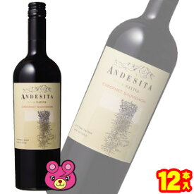 【お酒】 ヴィーニャ・カサ・シルヴァ アンデシータ　カベルネ・ソーヴィニヨン 赤 750ml×12本 ワイン K＆K国分 國分 【北海道・沖縄・離島配送不可】