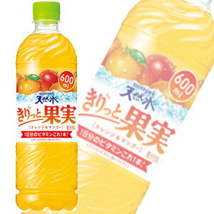 y1P[Xz Tg[VR Ɖʎ IW}S[ PET 600ml×24{ ykCEEzsz