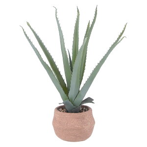 yCeAzysfՁz tFCNO[ AG S Zg|bg lHϗtA k[J[ilykCEEzsz