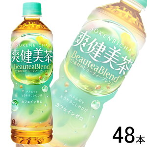 ySzyRJER[zy2P[Xz RJER[ u PET 600ml×24{×2P[XFv48{ RJR[ т ykCEz