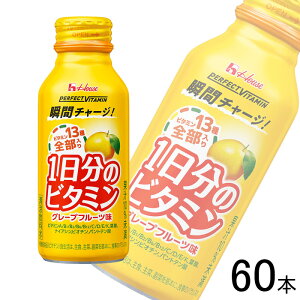 �y2�P�[�X�z �n�E�XWF PERFECT VITAMIN 1�����̃r�^�~�� �O���[�v�t���[�c�� �{�g���� 120ml×30�{��×2�P�[�X�F���v60�{ �n�E�X�E�F���l�X�t�[�Y �p�[�t�F�N�g�r�^�~�� �y�k�C���E����E�����z���s