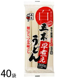 y2P[Xz ܖؐHi ςǂ 360g×20ܓ×2P[XFv40 ykCEEzsz