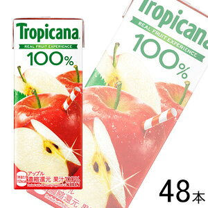 y2P[Xz L gsJ[i 100 Abv pbN 250ml×24{×2P[XFv48{ ykCEEzszmHFn