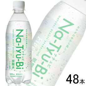 【2ケース】 友桝飲料 Na-Tyu-Bi アロエ風味 PET 500ml×24本入×2ケース：合計48本 ナチュビ 【北海道・沖縄・離島配送不可】