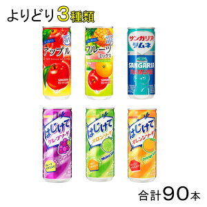 y3P[Xz TKA 240g 250g e30{×ǂ3ށFv90{  ͂ l ykCEEzsz