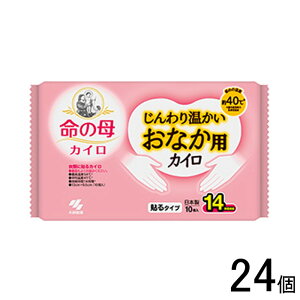 ypizy24z ѐ ̕JC 艷ȂpJC \^Cv 10×24 ĝ JC ykCEEzszmHKn