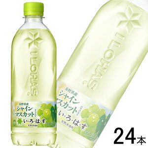 ySzyRJER[zy1P[Xz RJER[ EÉE VC}XJbg PET 540ml×24{ RJR[ ͂ ykCEz