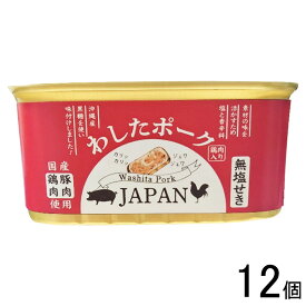 【12個】 沖縄県物産公社 わしたポーク JAPAN 200g×12個入 ジャパン ランチョンミート 【北海道・沖縄・離島配送不可】