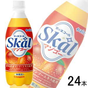 y1P[Xz f[B {_ XR[}S[ PET 500ml×24{ ykCEEzsz