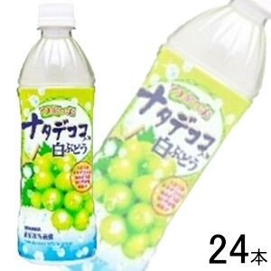 y1P[Xz TKA Ԃԃi^fRR Ԃǂ PET 500ml×24{ ykCEEzsz