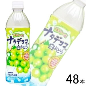 y2P[Xz TKA Ԃԃi^fRR Ԃǂ PET 500ml×24{×2P[XFv48{ ykCEEzsz