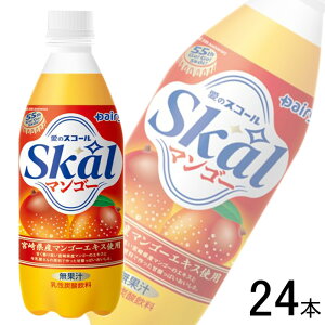 �y1�P�[�X�z �f�[���B ����{���_���� �X�R�[���}���S�[ PET 500ml×24�{ �y�k�C���E����E�����z���s�z