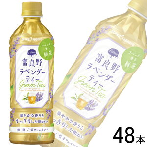 �y2�P�[�X�z �|�b�J�T�b�|�� �x�ǖ색�x���_�[�e�B�[ PET 500ml×24�{×2�P�[�X�F���v48�{ �y�k�C���E����E�����z���s�z