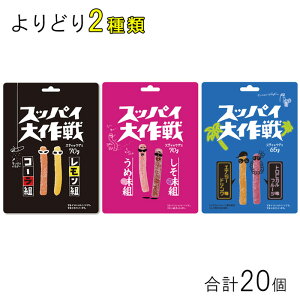 y20z Wp XbpC e10×ǂ2ށFv20 R[ ߖ GiW[hNgsJt[c ykCEEzsz[NA