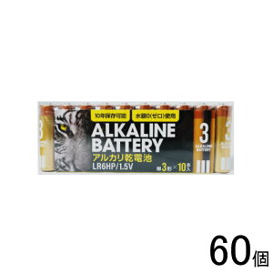 y60z ɓ[eCN AJdrHP P3 10{×60 ykCEEzsz[NA]