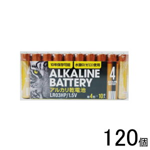 y120z ɓ[eCN AJdrHP P4 10{×120 ykCEEzsz[NA]