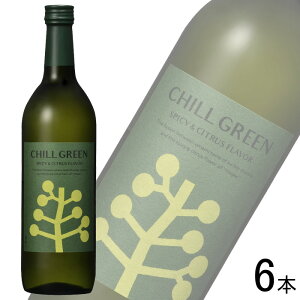 yzy6{z _c CHILL GREEN spicy & citrus  25x r 720ml×6{ `O[ XpCV[&VgX ykCEEzsz