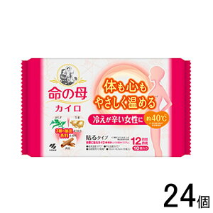 ypizy24z ѐ ̕JC \^Cv 10×24 ĝ JC ykCEEzszmHKn