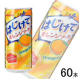 y2P[Xz TKA ͂ăIW\[_  250g×30{×2P[XFv60{ ykCEEzsz