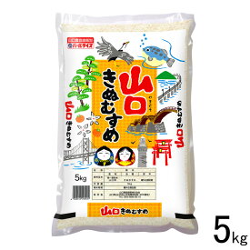 【山口県産米】【農協直販】 山口きぬむすめ 5kg 【北海道・沖縄・離島配送不可】