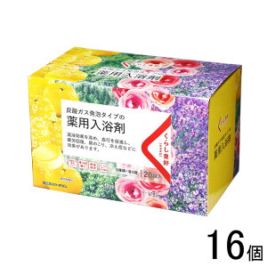 y16z 炵ǍD Y_KXA^Cv̖p 20×16 ykCEEzsz[NA]